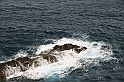 Kanary_2010 021
